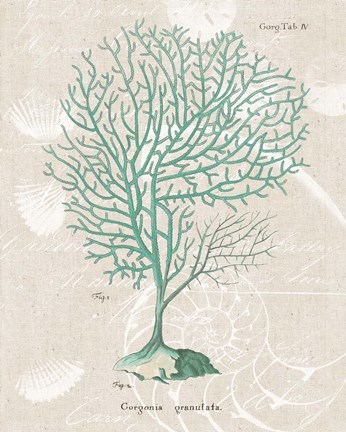 Framed Gorgonia Granulata on Linen Sea Foam Print
