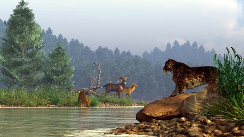 Framed saber-toothed cat looks across a river at a family of deer Print