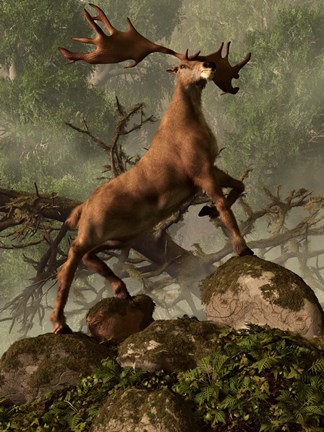 Framed Irish Elk stands proudly in a dense forest Print