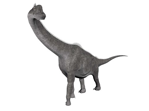 Framed Brachiosaurus dinosaur, white background Print