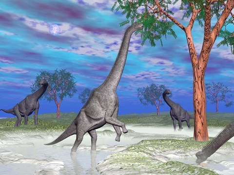 Framed Brachiosaurus dinosaurs grazing on trees Print