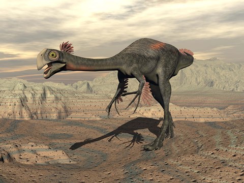 Framed Gigantoraptor dinosaur walking  on rocky terrain Print
