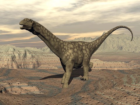Framed Large Argentinosaurus dinosaur walking on rocky terrain Print