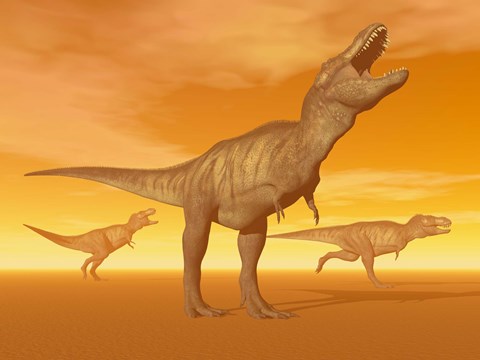 Framed Tyrannosaurus Rex dinosaurs in an orange foggy desert by sunset Print