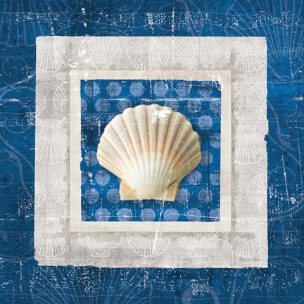 Framed Sea Shell III on Blue Print