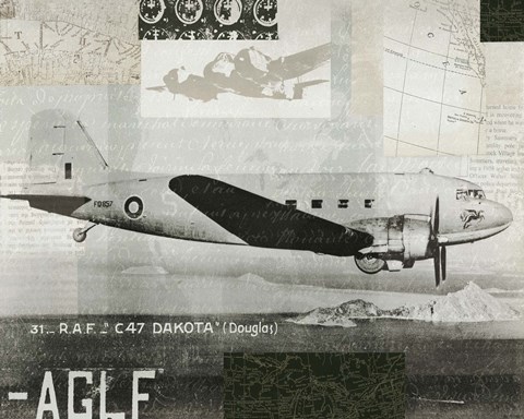 Framed Wings Collage IV Print