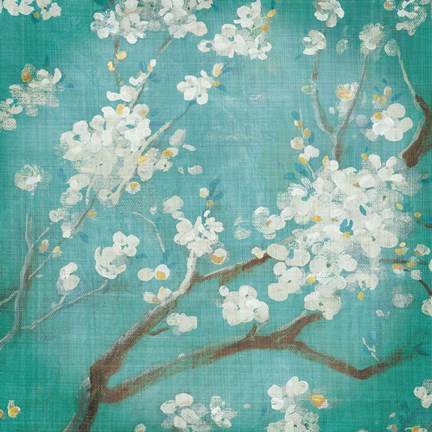 Framed White Cherry Blossoms I on Blue Aged No Bird Print