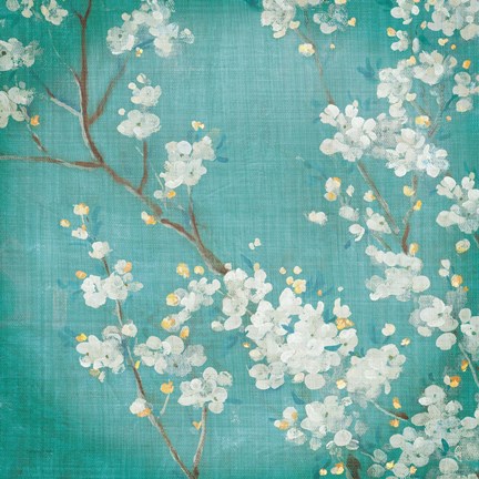 Framed White Cherry Blossoms II on Blue Aged No Bird Print