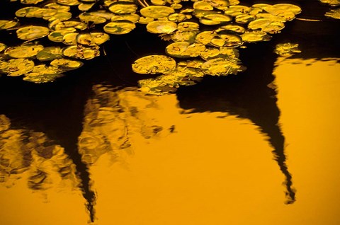 Framed Lily Pond and Temple Reflection in Yellow, China Print