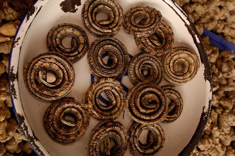 Framed Dried Snakes in Kunming Traditional Medicine Market, Yunnan Province, China Print