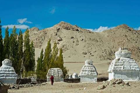 Framed White Stupa Forest, Shey, Ladakh, India Print