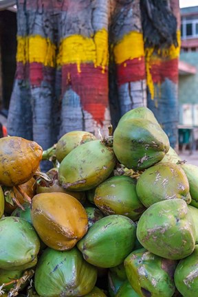 Framed Pile of Coconuts, Bangalore, India Print