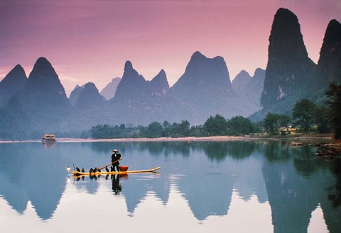 Framed Cormorant fishing at dusk, Li river, Guangxi, China Print