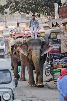 Framed Colorfully decorated elephant, Amber Fort, Jaipur, India Print