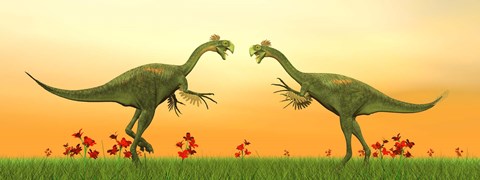 Framed Two Gigantoraptor dinosaurs fighting on green grass by sunset Print