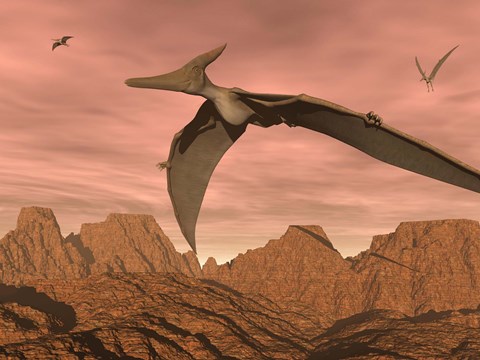 Framed Three pteranodon dinosaurs flying above rocky landscape Print