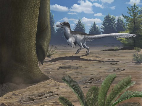 Framed deinonychosaur leaves tracks across a Cretaceous China landscape Print