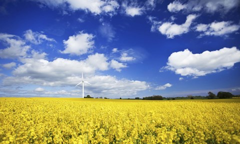 Framed Wind turbine in a canola field against cloudy sky, Denmark Print