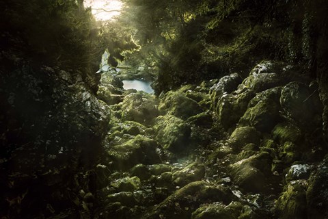 Framed Aged boulders covered with moss in the Ritsa Nature Reserve Abkhazia Print