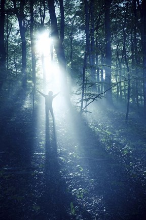 Framed Silhouette of a man standing in the misty rays of a dark forest, Denmark Print