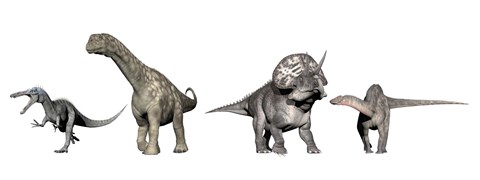 Framed Left to Right: Suchomimus, Argentinosaurus, Zuniceratops, Dicraeosaurus Print