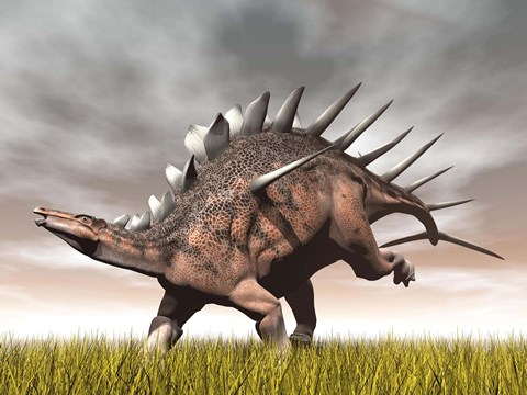 Framed Kentrosaurus dinosaur running on the yellow grass Print