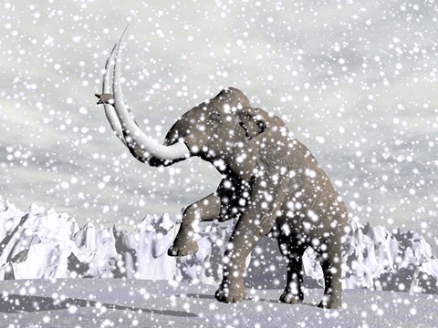 Framed Mammoth walking through a blizzard on mountain Print