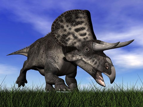 Framed Zuniceratops dinosaur running in the grass Print