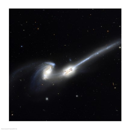 Framed Mice Galaxies Print