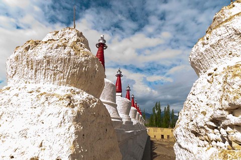 Framed Chortens at the Thiksey Monastery, Leh, Ladakh, India Print