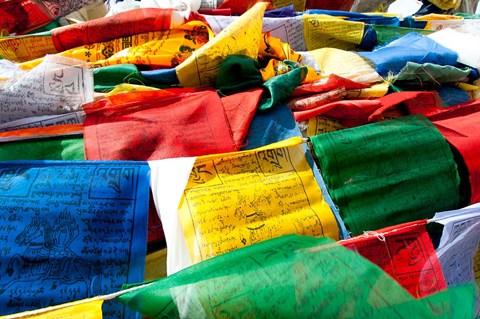 Framed Prayer flags, Namshangla Pass, Ladakh, India Print