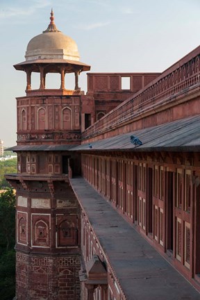 Framed Two pigeons sit on the roof&#39;s ledge, Agra fort, India Print