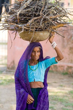 Framed Woman Carrying Firewood on Head in Jungle of Ranthambore National Park, Rajasthan, India Print
