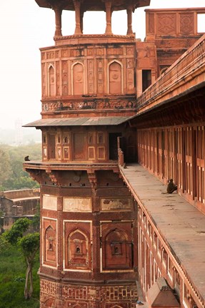Framed Agra Fort, Agra, Uttar Pradesh, India Print