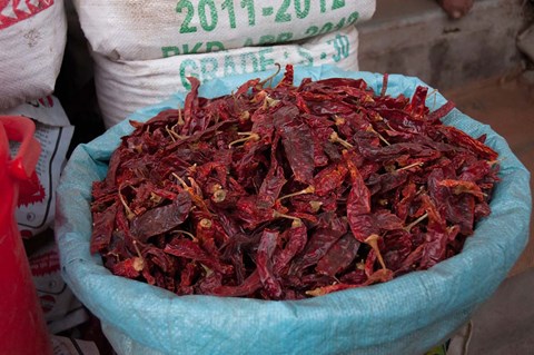 Framed Dried chilies, Jojawar, Rajasthan, India. Print