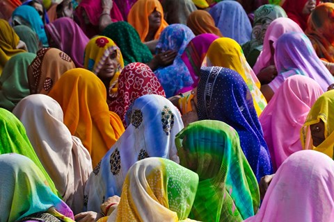 Framed Women in colorful saris, Jhalawar, Rajasthan, India Print
