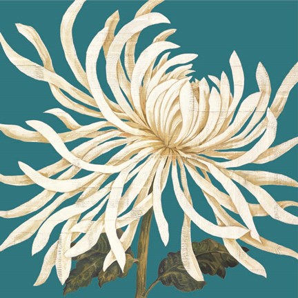 Framed Mix of Mums I Print