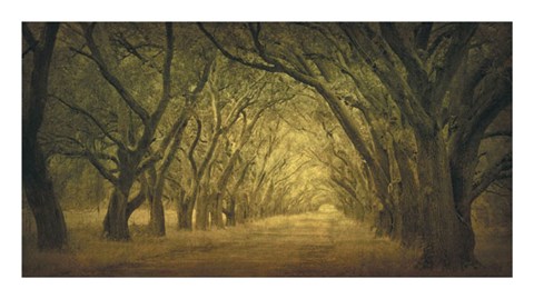 Framed Evergreen, New Alley, Right Side Print