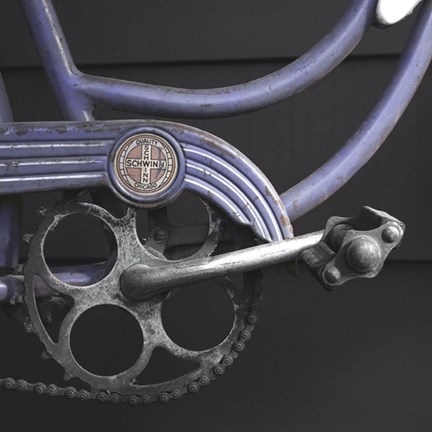 Framed Schwinn 2 Print