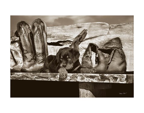 Framed Big Foot Print