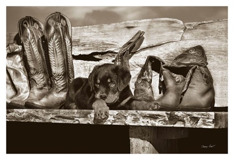 Framed Big Foot Print
