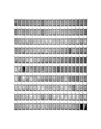 Framed Window 8 Print