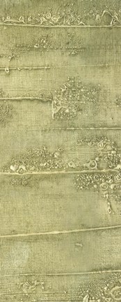 Framed Boardwalk I Print