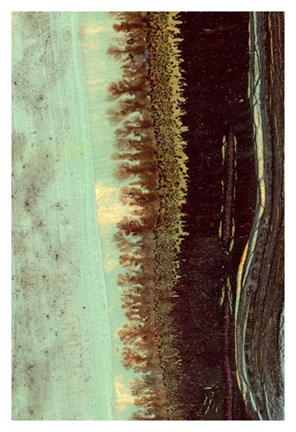 Framed Lichen II Print