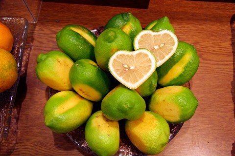 Framed Display of fresh heart shaped limes, Tokyo, Japan Print