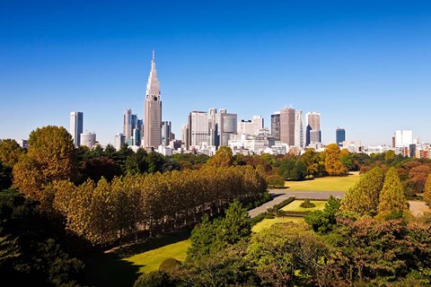 Framed Japan Tokyo Shinjuku District, Shinjuku Gyoen Garden Print