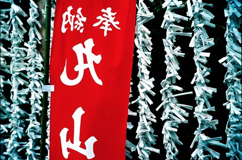 Framed Fortune Papers at Shinto Shrine, Tokyo, Japan Print