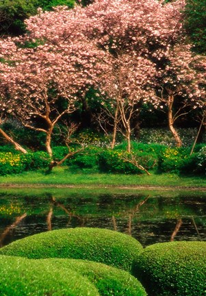 Framed Reflecting Pond, Imperial Palace East Gardens, Tokyo, Japan Print