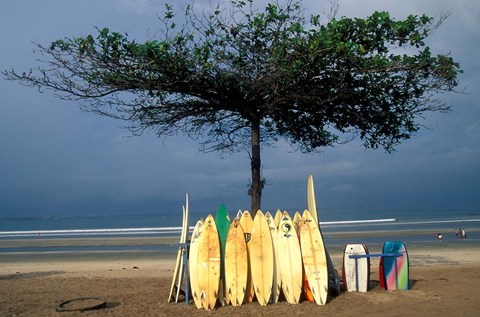 Framed Surfboards Lean Against Lone Tree on Beach in Kuta, Bali, Indonesia Print