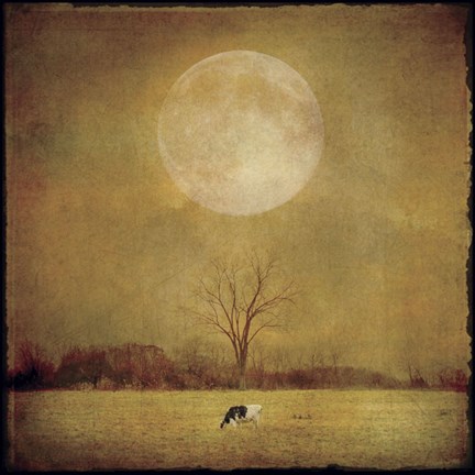 Framed One Cow Print